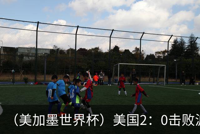 （美加墨世界杯）美国2：0击败波黑 三支东道主球队均晋级16强